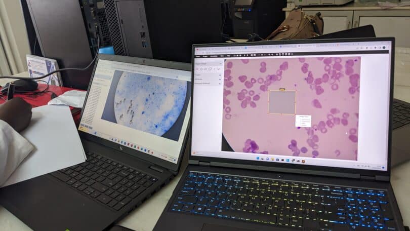 Health dataset imagery